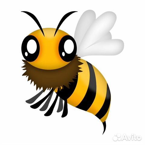 Пчёлы, Мёд, продукты пчеловодства
