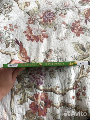 Книга Книга