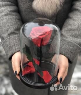 Роза в Колбе с бабочкой Роза в Колбе с бабочкой