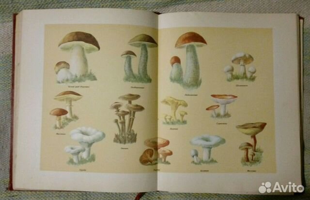 Книга о вкусной и здоровой пище 1964 г
