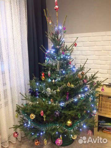 Новогодняя Елка Нижний Новогодняя Елка Нижний