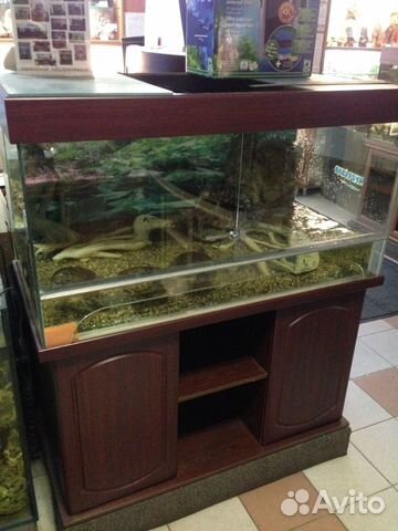 Аква террариумы 250 и 300 л