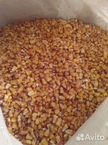 Кукуруза, пшеница с доставкой купить на Зозу.ру - фотография № 1