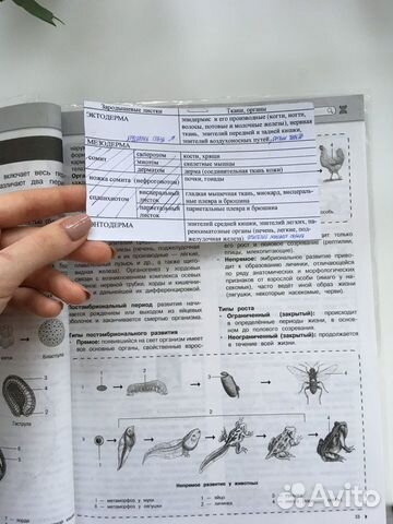 Справочник для подготовки к огэ/егэ по биологии Справочник для подготовки к огэ/егэ по биологии