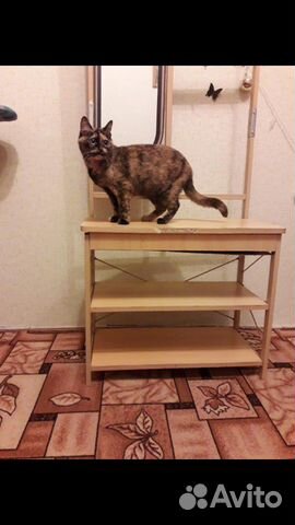Прихожая Прихожая