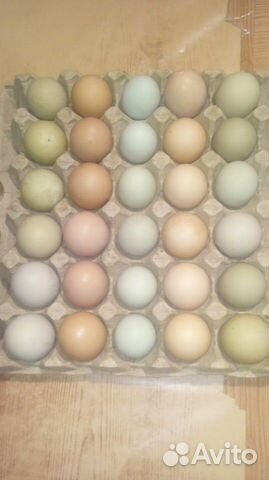 Яйца купить на Зозу.ру - фотография № 9