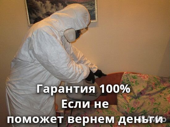 Уничтожение клопов тараканов блох обработка Уничтожение клопов тараканов блох обработка