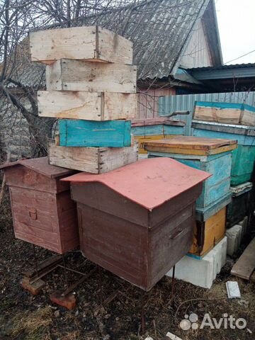 Улей для пчел купить на Зозу.ру - фотография № 8