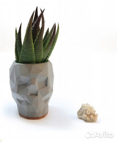 Декоративный череп из цементного раствора