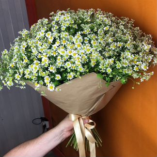 Ромашки букет