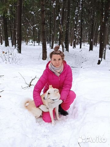 Передержка собак и кошек