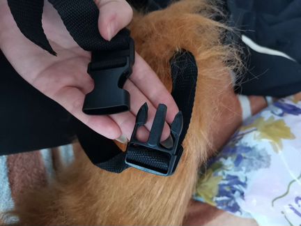 Косплей лисы /Лисий хвост и ушки