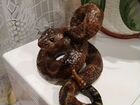 Статуэтка гремучая змея объявление продам