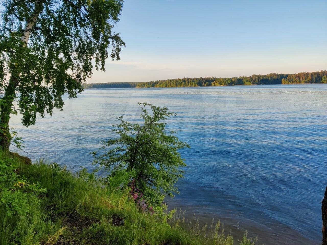 Пляж лечищево. Лечищево.