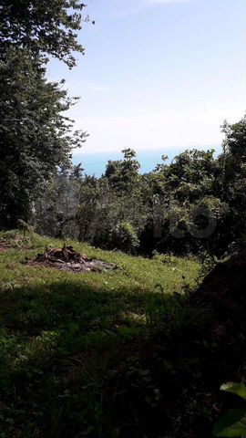 Участок 6 сот. (СНТ, ДНП)