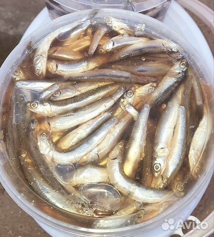 Сельдь Залом с/с 700+. Филе сельди