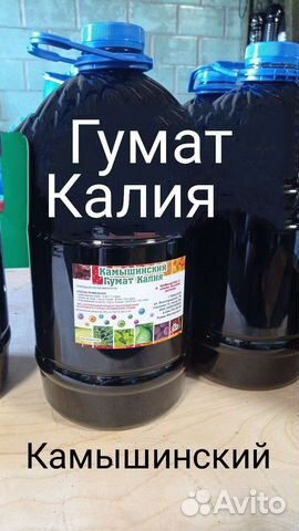 36) Камышинский Гумат