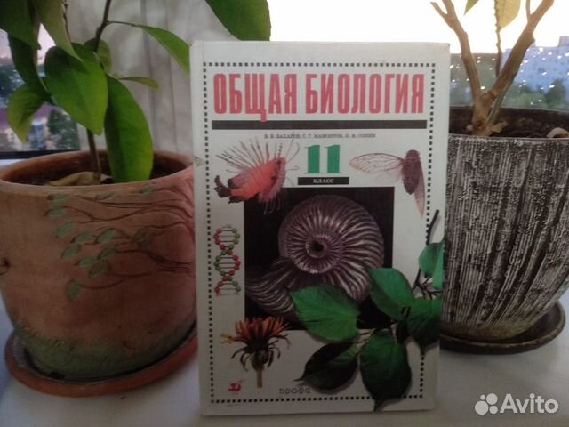 Общая Биология 11 класс