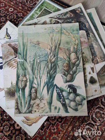 Плакаты, СССР