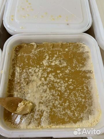 Мёд Алтайский 2023 год. С пасеки