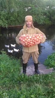 Лук репчатый продажа с доставкой