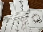 Карточки анатомия человека объявление продам