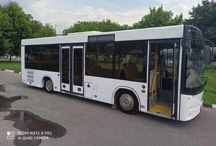 Водитель автобуса кат Д. Ежедневная зарплата