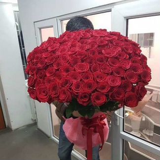 Розы 101 шт