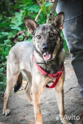 Тата в добрые руки