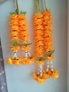 Пуанг - малай