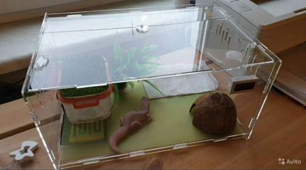 Акриловый террариум для рептилий