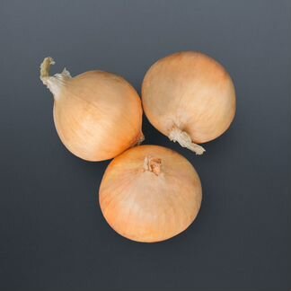 Семена Лука 