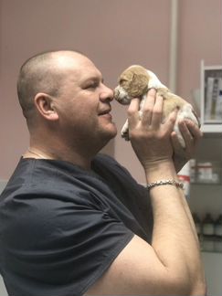 Лечение.Кастрация, Стерилизация кошек и собак