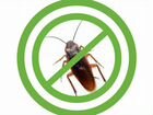 Уничтожение тараканов клопов грызунов и др объявление продам
