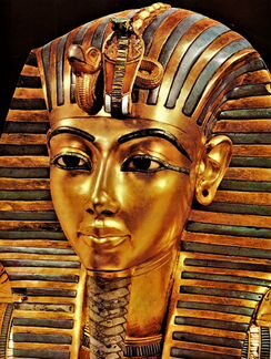 Архитектура Скульптура Живопись Танец Театр Кино