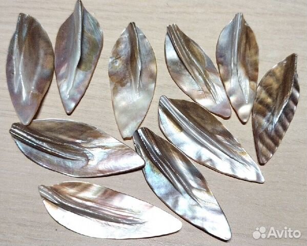 Перламутр листья крупные 12 шт