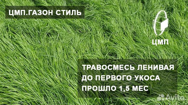 Газонная трава низкорослая, Ленивая от 10 кг