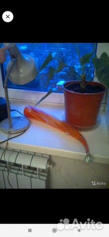 Рог изобилия