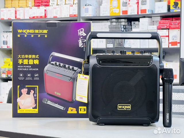 Колонка караоке W-King T3