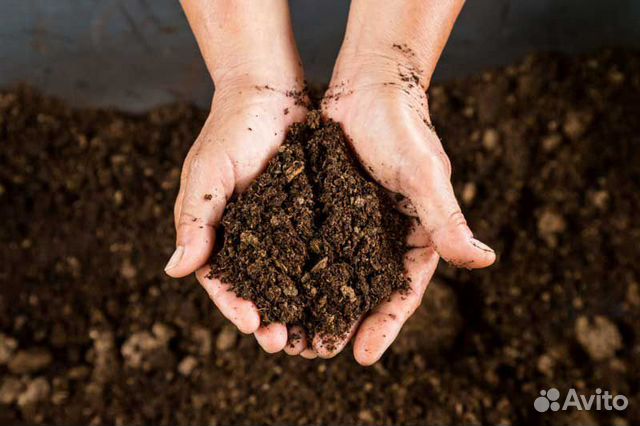 Торфосмесь