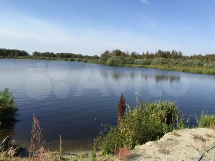 Участок 1,5 га (ИЖС)