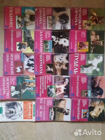 Собаки, кошки, попугаи, канарейка, хомяки, крысы