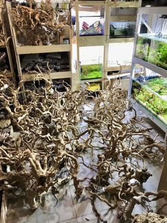 Лава, коряги, камни, грунт