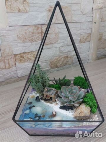 Флорариум с суккулентами