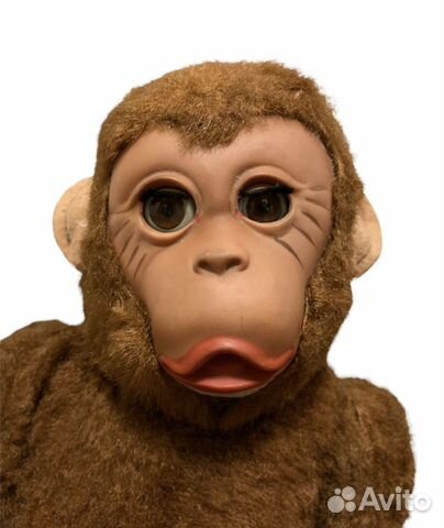 Обезьяна гдр