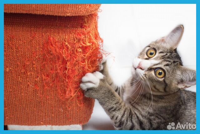 Перетяжка и ремонт мягкой мебели