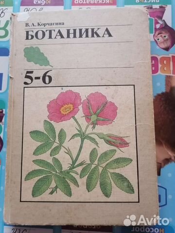 Учебник СССР ботаника 5-6класс купить в Костроме | Хобби и отдых | Авито