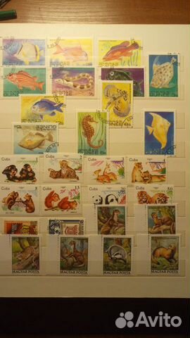 Марки Фауна СССР Зарубежные 1959-1982г