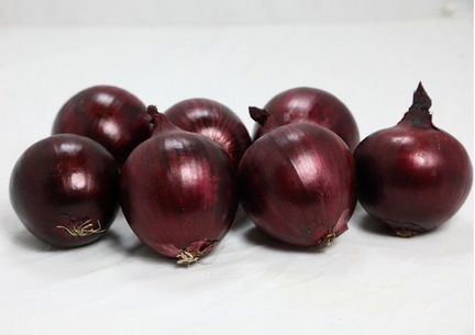 Антарес F1 семена лука репчатого (Гавриш)