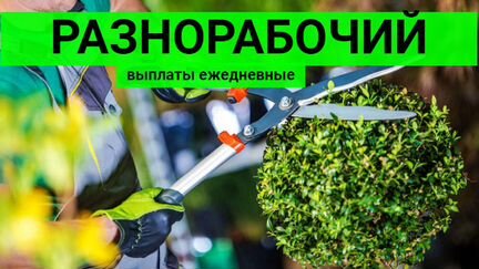 Нужны подсобники Оплата каждый день